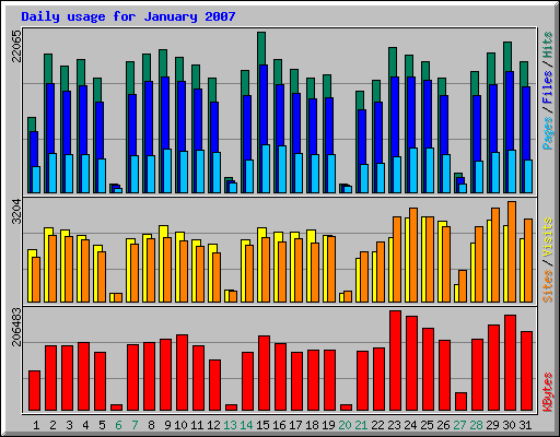 Daily usage for January 2007