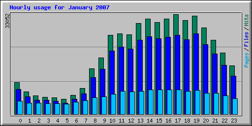 Hourly usage for January 2007